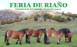 CARTEL FERIA DE NOVIEMBRE 20205