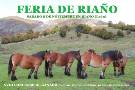 CARTEL FERIA DE NOVIEMBRE 2025